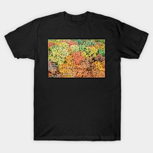 Aerial top down landscape of beautiful colorful autumn forest T-Shirt